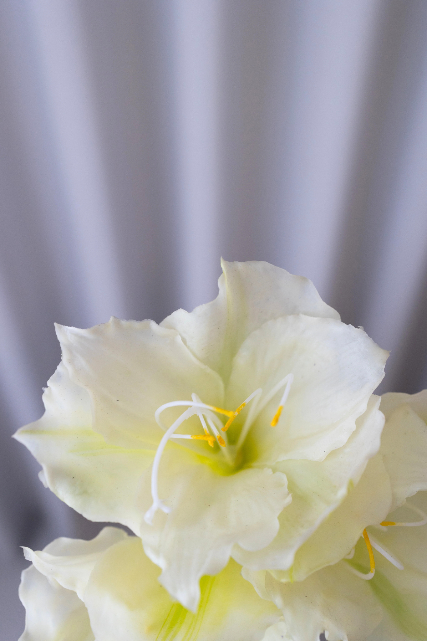 Kunstig amaryllis - hvid